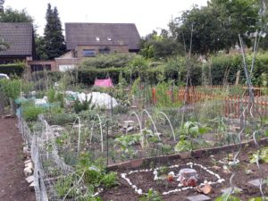 Essbare Stadt Borken